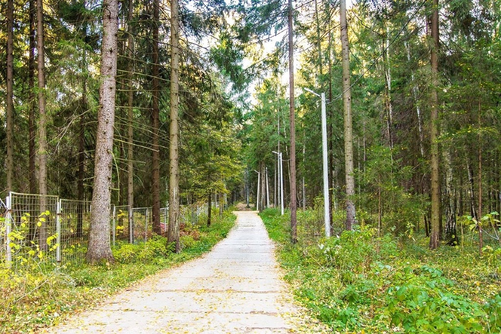 Жуковка академическая Фото 69991